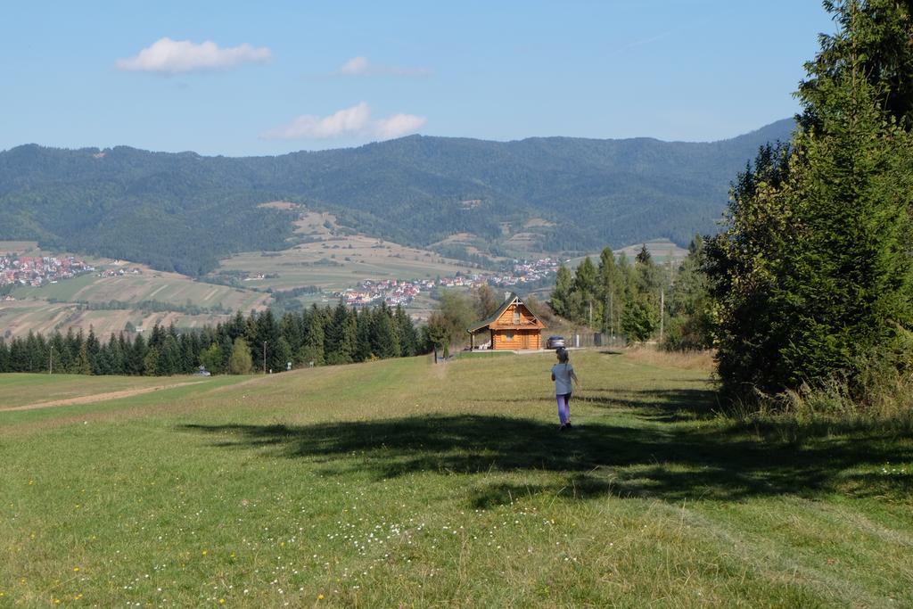 Domek Na Jagodowym Wzgorzu Villa Falsztyn Exteriör bild