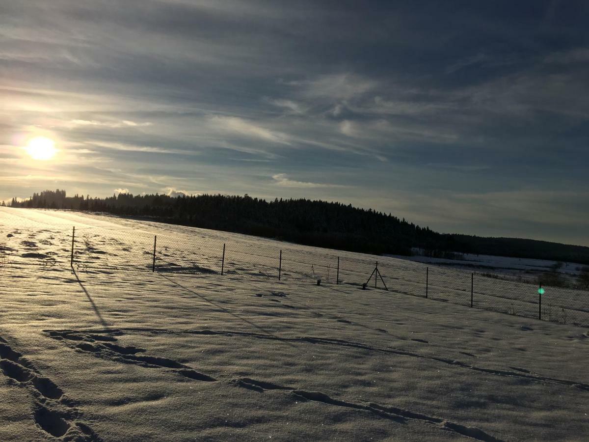 Domek Na Jagodowym Wzgorzu Villa Falsztyn Exteriör bild